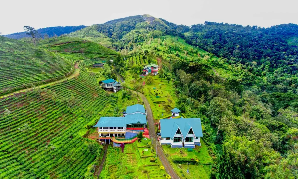 Top resorts in Munnar