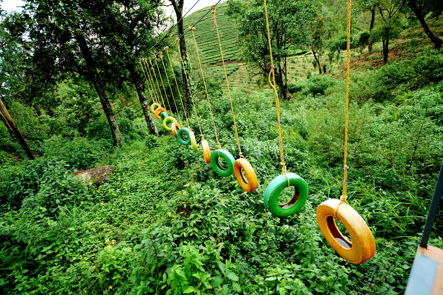 Activity resort in Munnar