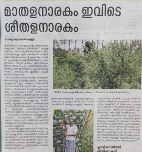 best resorts in Munnar