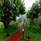 Luxury resorts in Munnar