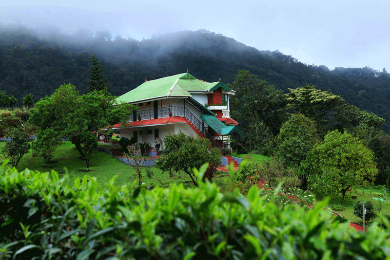 Best resorts in Munnar for honeymoon