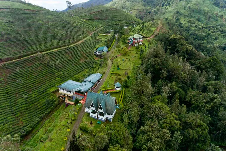 Activity resorts in Munnar