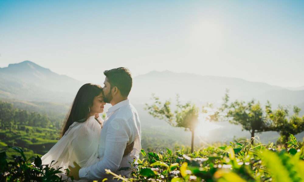 Luxury resorts in Munnar