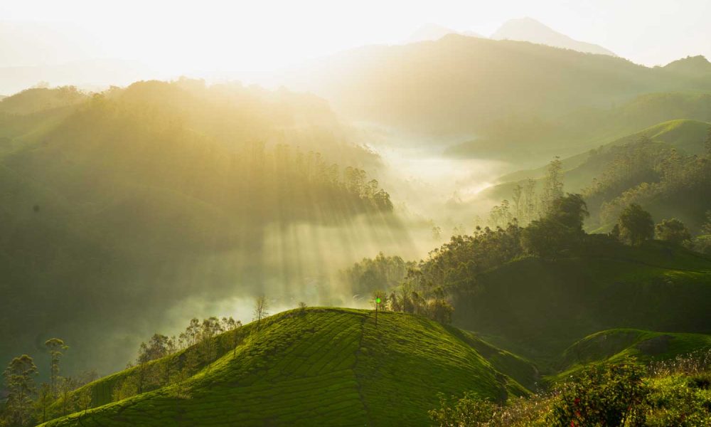 Best resorts in Munnar