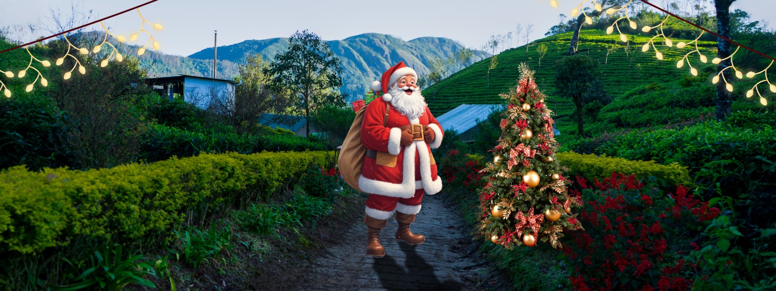 Honeymoon resorts in Munnar