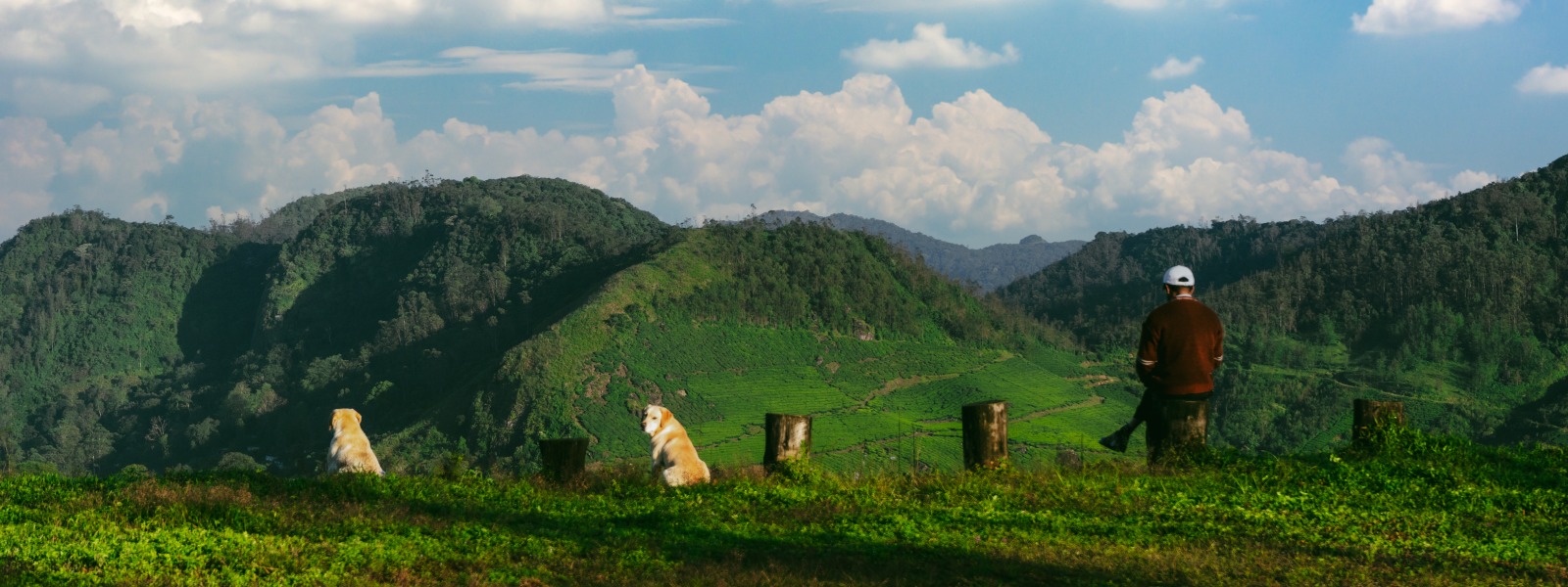 Best luxury resorts in Munnar